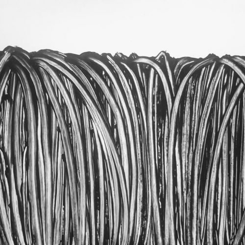 rope, monochrome. abstract